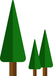 3 evergreen trees of different sizes